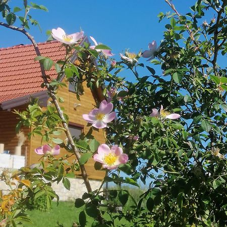 Tarin Zov Apartamento Kaludjerske Bare Exterior foto