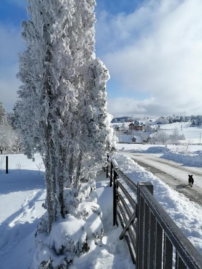 Tarin Zov Apartamento Kaludjerske Bare Exterior foto