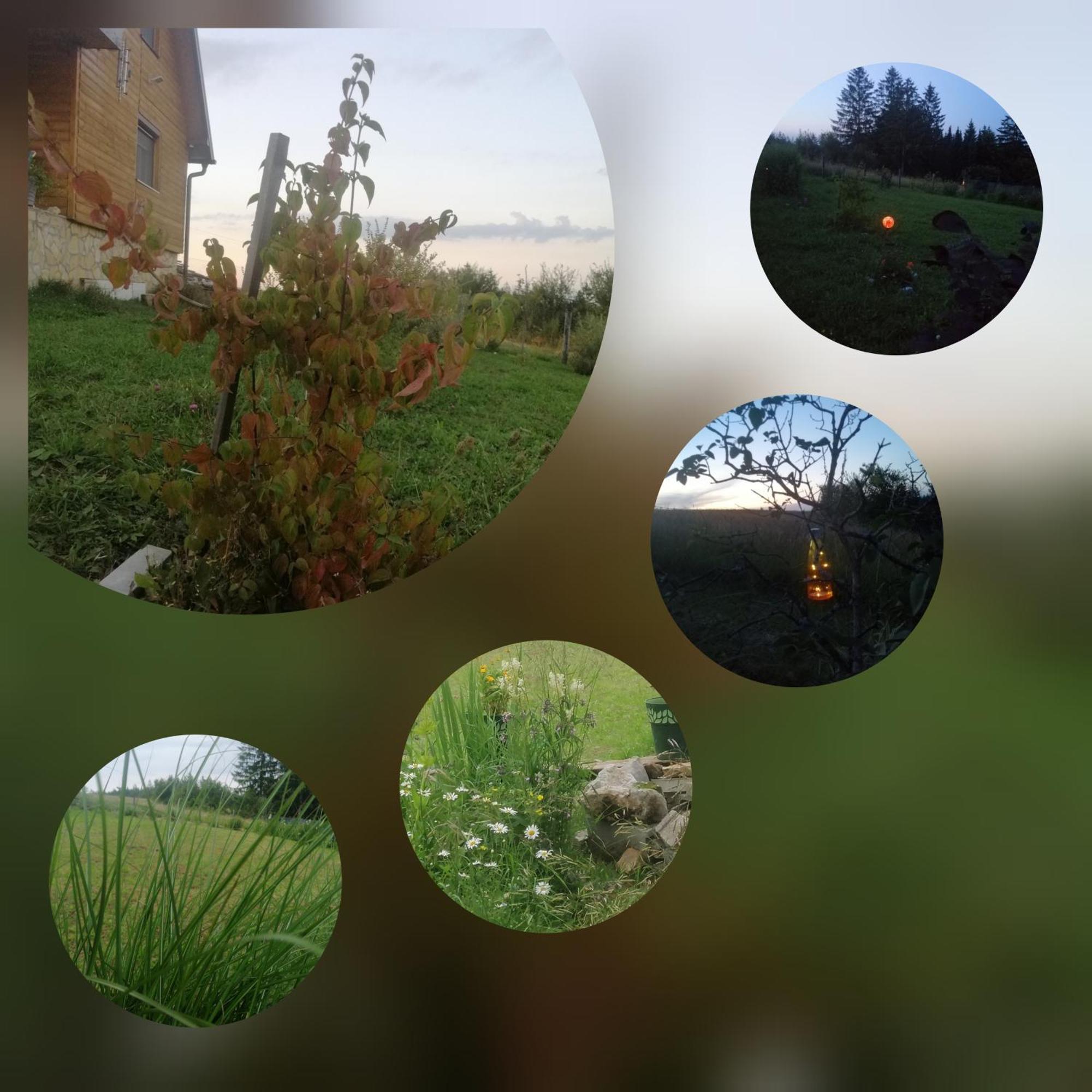 Tarin Zov Apartamento Kaludjerske Bare Exterior foto