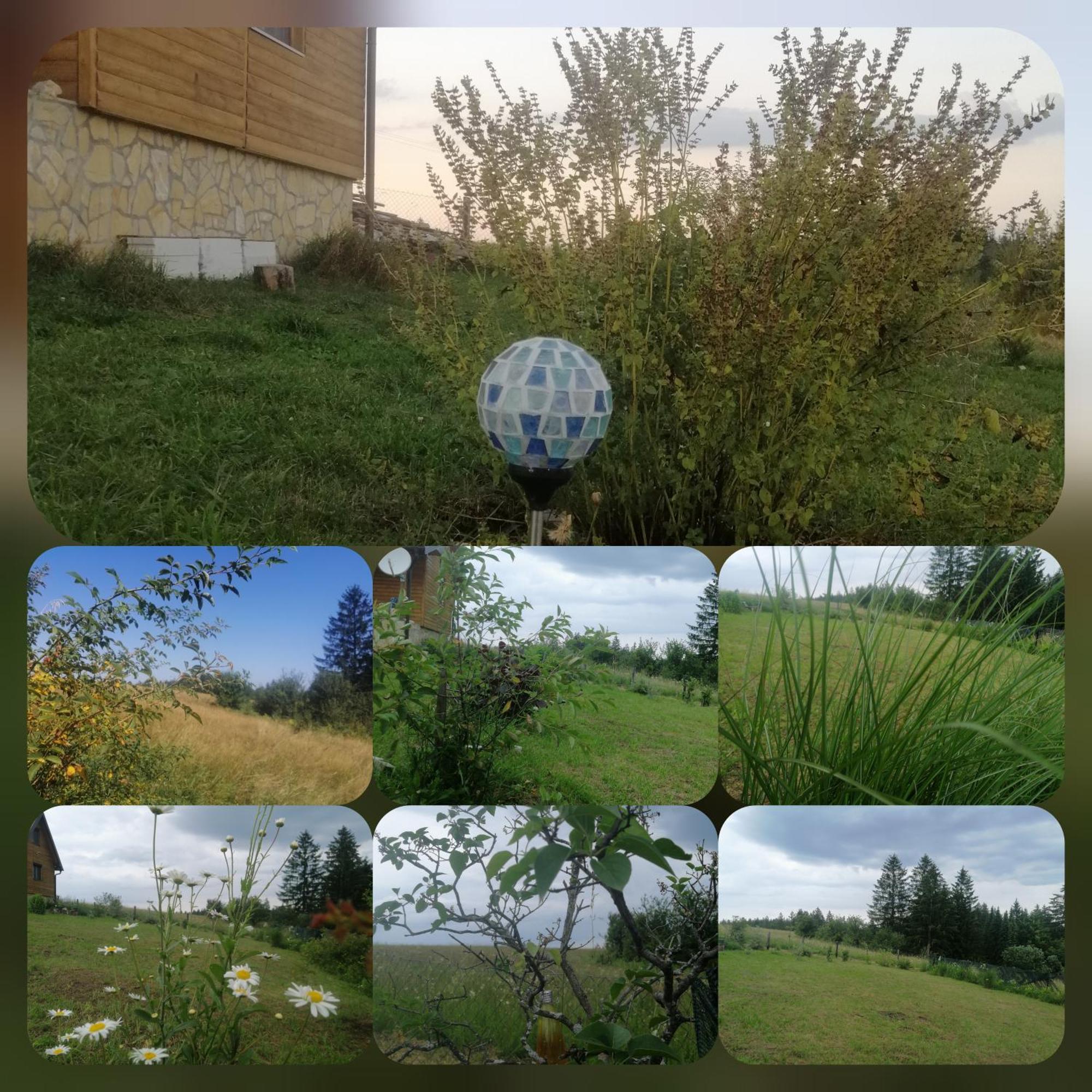 Tarin Zov Apartamento Kaludjerske Bare Exterior foto